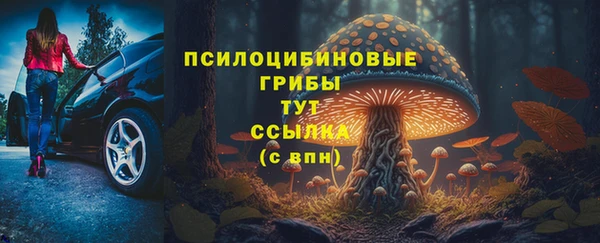 прущие крисы Магадан