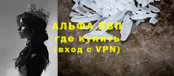 прущие крисы Магадан