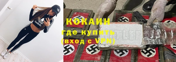 ГАЛЛЮЦИНОГЕННЫЕ ГРИБЫ Магас