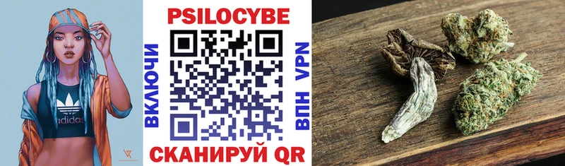 Купить где  Разумное  Псилоцибиновые грибы Psilocybine cubensis 